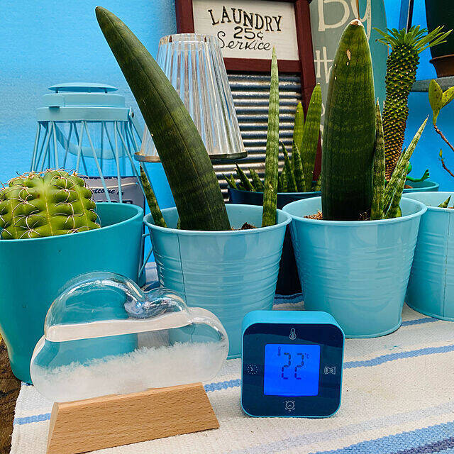 お家の中に天気が飾れる♪クラウド型のストームグラスをご紹介