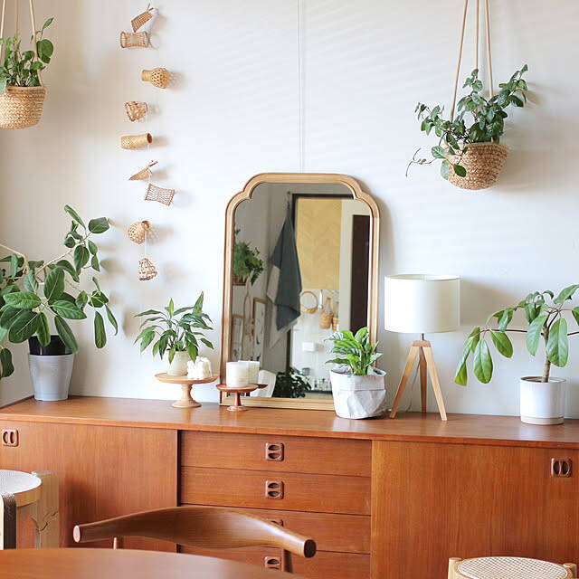 インテリアが劇的に変わる！知って得する観葉植物の配置、レイアウトの工夫10選