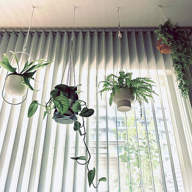 インテリアが劇的に変わる！知って得する観葉植物の配置、レイアウトの工夫10選