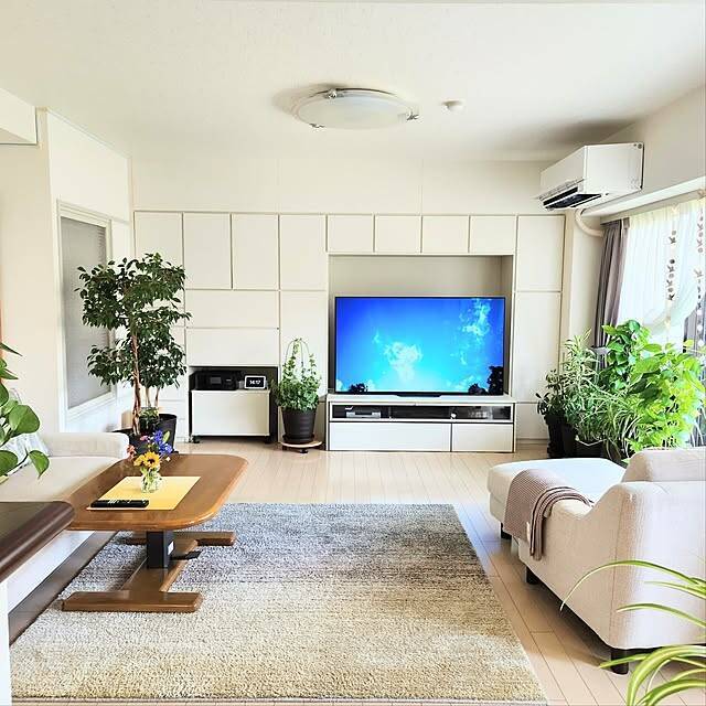 インテリアが劇的に変わる！知って得する観葉植物の配置、レイアウトの工夫10選