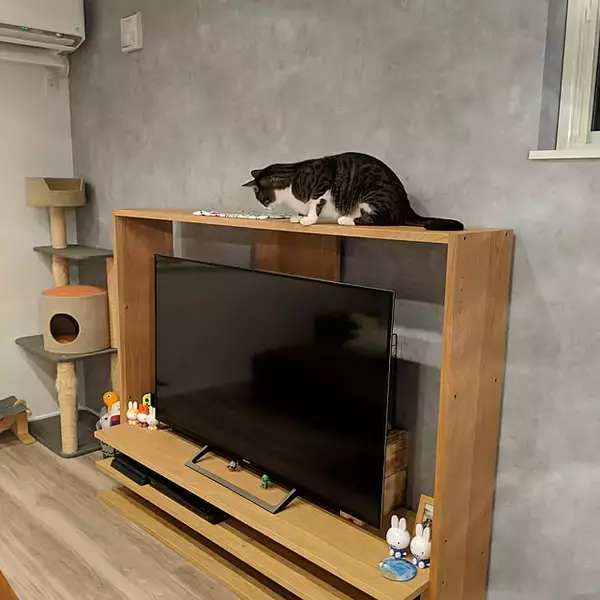 「こだわり派も納得！ラインナップが豊富なニトリのテレビボード」の画像