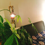 「アウトドア以外でも大活躍☆家の中でのアウトドアグッズ活用法10選」の画像5