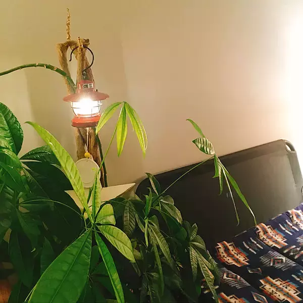 「アウトドア以外でも大活躍☆家の中でのアウトドアグッズ活用法10選」の画像