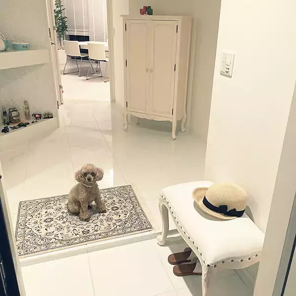 「愛でたくなるデザインを♪ぱっと目を引くスツール・丸椅子カタログ」の画像