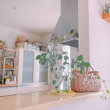 「「北欧×レトロ。好きに囲まれた、暮らしが弾むキッチン」 by akiko-ovさん」の画像2