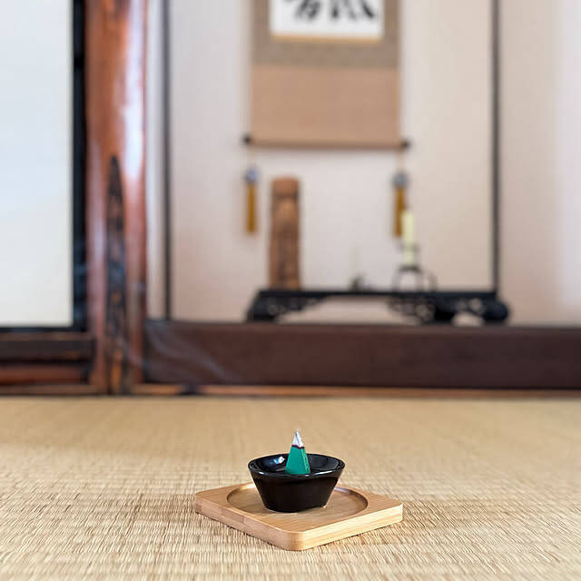 あたたかくなってきたらすぐ行動！組み合わせて効果をあげる今年の虫対策