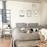 「仲良く快適に過ごすためのヒント♪ふたり暮らしのお部屋実例10選」の画像10