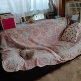 「季節の変わり目や気分転換におすすめ♪セリアのクッションカバーで楽しむ模様替えの実例6選」の画像7