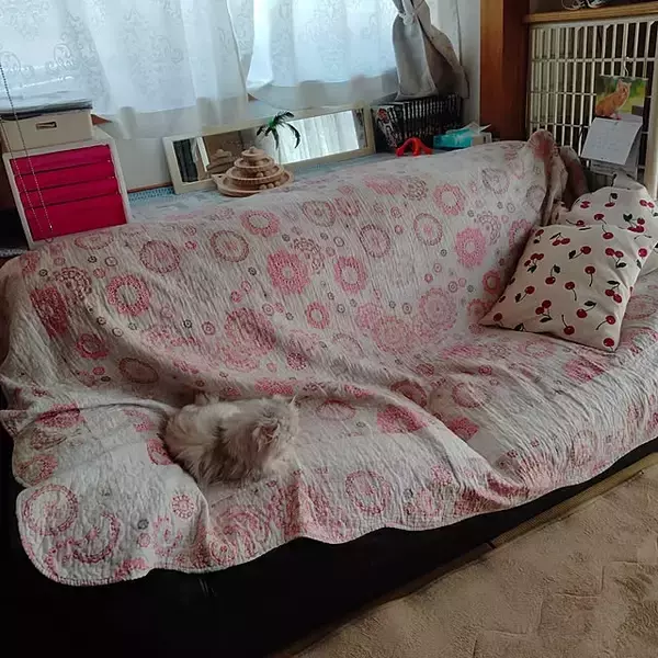 「季節の変わり目や気分転換におすすめ♪セリアのクッションカバーで楽しむ模様替えの実例6選」の画像