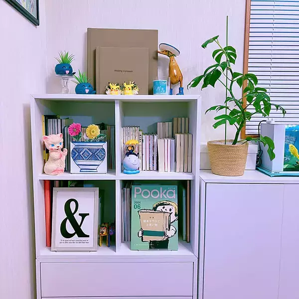 「本・雑誌はコレで整う！おすすめの収納アイテムと美しく見える収納の工夫をご紹介」の画像