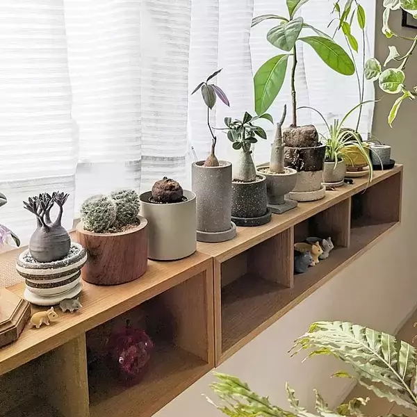 「無印良品の人気アイテム☆便利な壁につけられる家具シリーズ」の画像