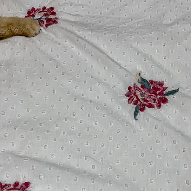 華やかで気分が上がるお部屋づくりに♪Francfrancのフェイクやファブリックアイテムをご紹介