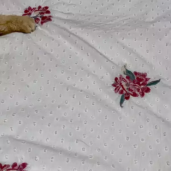 「華やかで気分が上がるお部屋づくりに♪Francfrancのフェイクやファブリックアイテムをご紹介」の画像