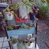 「手軽に置き場づくりができる♪ダイソーのジョイントラックを使った収納アイデア10選」の画像7