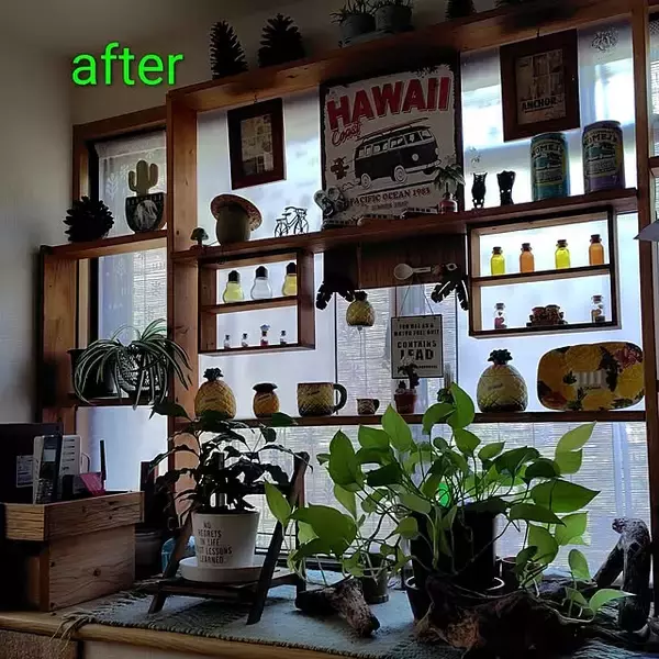 「【今週の〇〇】テーマは「DIY」！最新の投稿写真をピックアップ」の画像