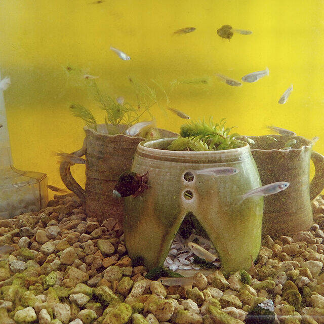 世界にひとつだけのお気に入り☆手作りの陶芸作品を取り入れた暮らし