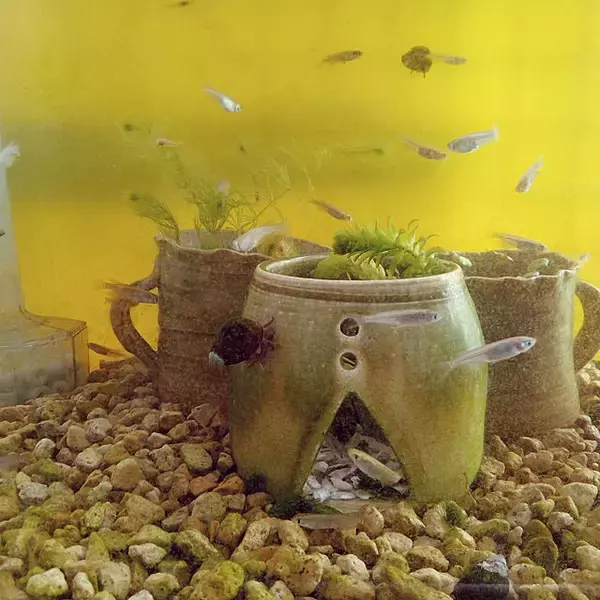 「世界にひとつだけのお気に入り☆手作りの陶芸作品を取り入れた暮らし」の画像
