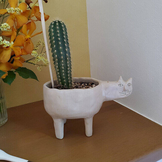 世界にひとつだけのお気に入り☆手作りの陶芸作品を取り入れた暮らし