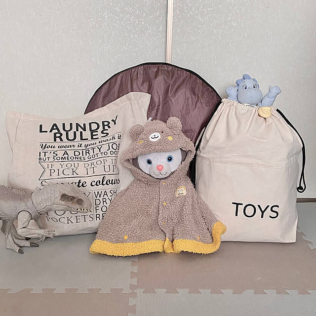 ストレスなくキレイが続く！家族も使いやすい「ざっくり収納」アイデア6選