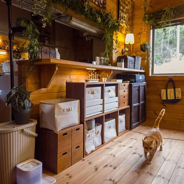 「明かりとグリーンに囲まれて。木のぬくもりにこだわりが宿る、ログハウスの暮らし」 by T.R.D.LABOさん