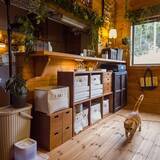 「「明かりとグリーンに囲まれて。木のぬくもりにこだわりが宿る、ログハウスの暮らし」 by T.R.D.LABOさん」の画像7