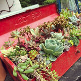 「こんな使い方あったんだ！ツールボックスの活用方法10選」の画像1