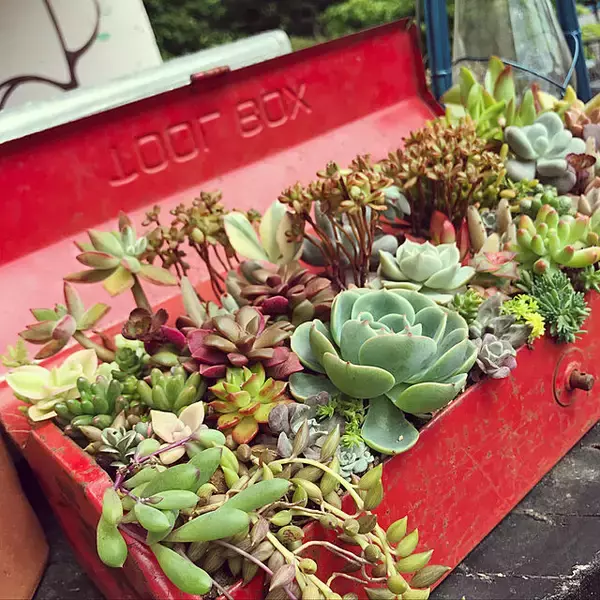 「こんな使い方あったんだ！ツールボックスの活用方法10選」の画像