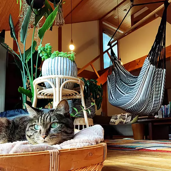 「手軽にお部屋の湿度アップ！簡単&節電もできる加湿アイデア10選」の画像