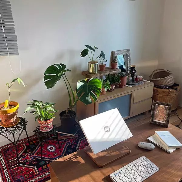 「お気に入りの植物が引き立つ♪インテリアにもなるプラントスタンド6選」の画像