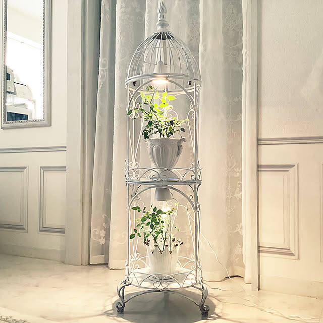 お気に入りの植物が引き立つ♪インテリアにもなるプラントスタンド6選