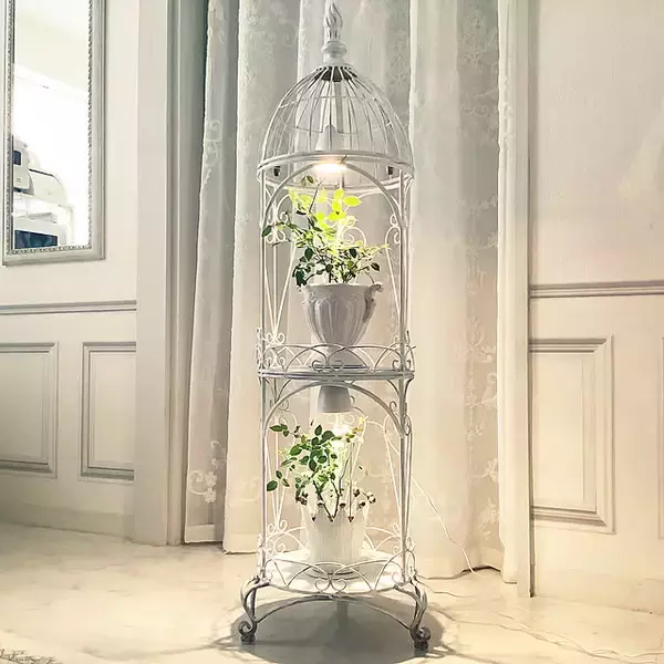 「お気に入りの植物が引き立つ♪インテリアにもなるプラントスタンド6選」の画像