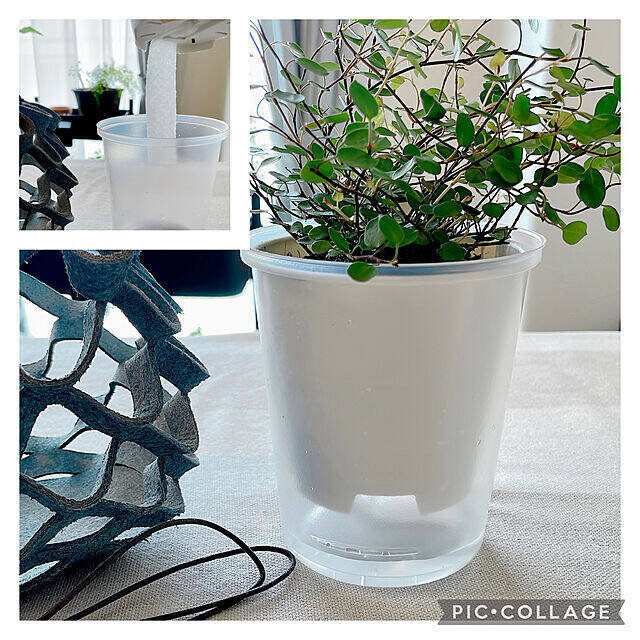 みんなの「買って良かった」が大集結！無印良品で人気の名品10選