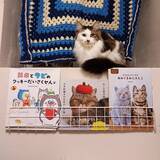 「「工具なしでOK！ワイヤーネットでつくるマガジンラック」 by maruwataroさん」の画像6