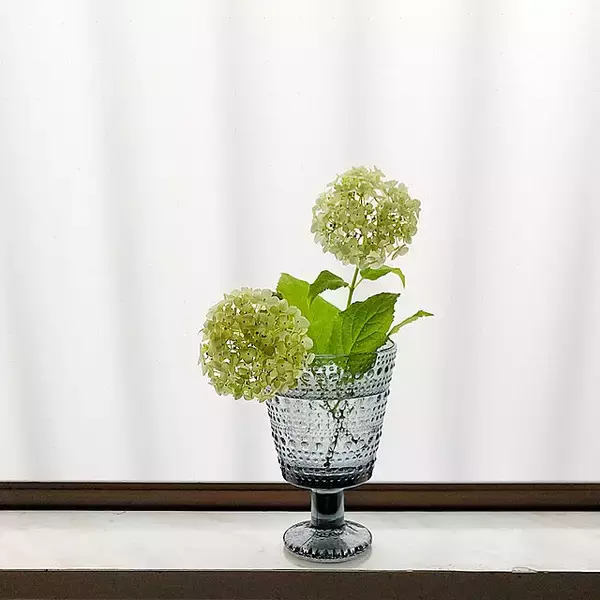 「繊細なデザインに心ときめく♡清涼感あふれる美しいガラスの器や食器10選」の画像