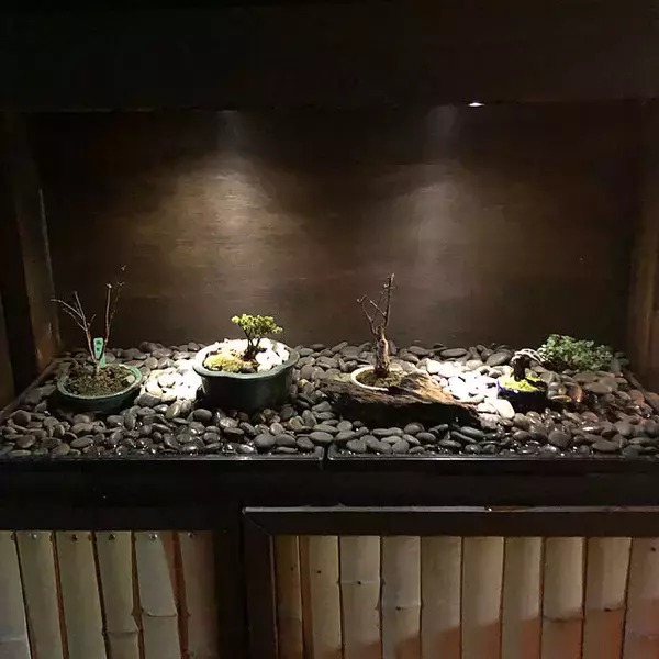 「家の中に風情ある癒しを取り入れて☆盆栽のあるインテリア実例集」の画像