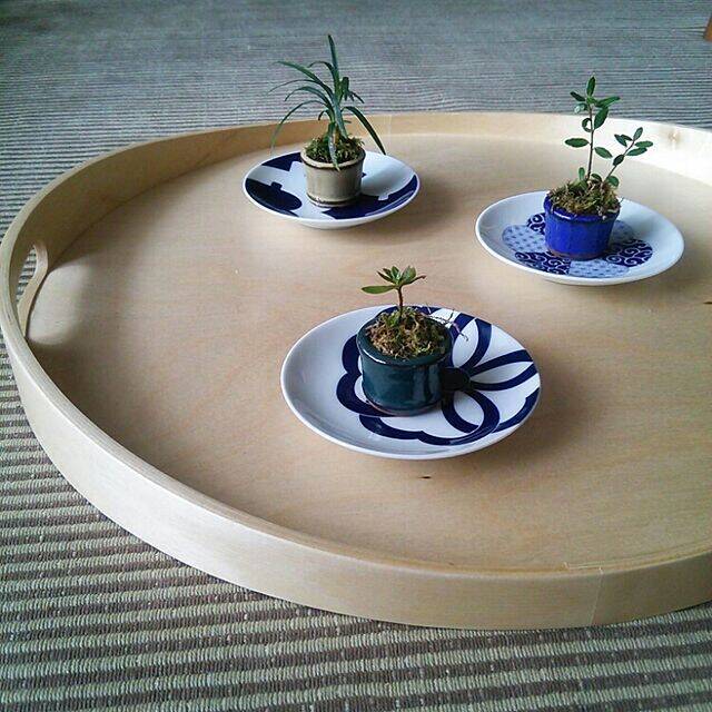 家の中に風情ある癒しを取り入れて☆盆栽のあるインテリア実例集