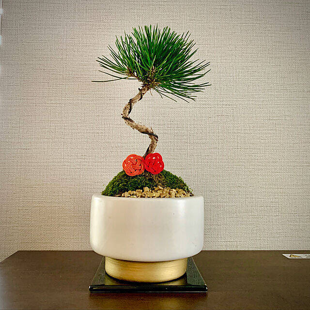 家の中に風情ある癒しを取り入れて☆盆栽のあるインテリア実例集