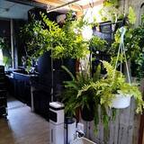 「【今週の〇〇】テーマは「植物のある暮らし」！最新の投稿写真をピックアップ」の画像2