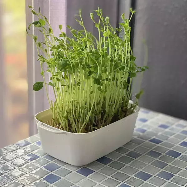 「値上げラッシュに負けない！節電・節水・暮らしの節約アイデア10選」の画像