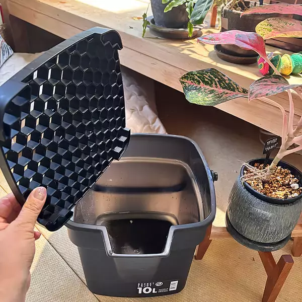 「「10Lたっぷり水遣り！大和プラスチックのバケツエンジョイ10型 」by greycats さん」の画像