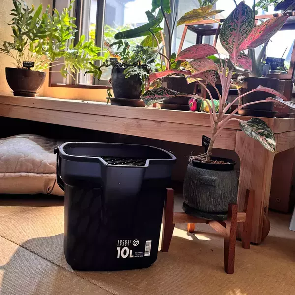 「「10Lたっぷり水遣り！大和プラスチックのバケツエンジョイ10型 」by greycats さん」の画像