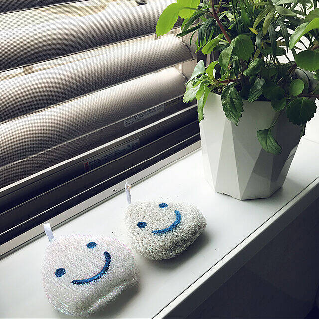 お店で見つけたら即GET！ユーザーさんオススメのセリアのリピート買い商品