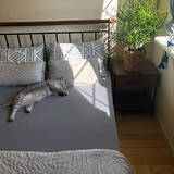 「寝心地にこだわりたい方に！おすすめのベッドシーツ利用実例」の画像1