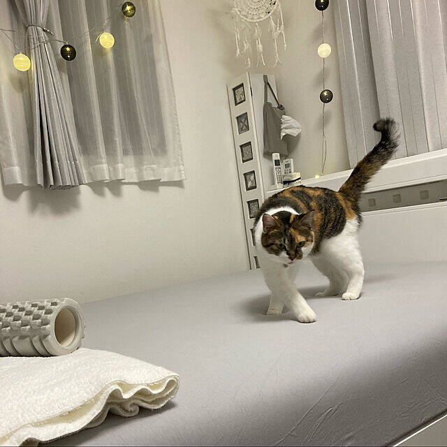 寝心地にこだわりたい方に！おすすめのベッドシーツ利用実例