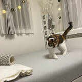 「寝心地にこだわりたい方に！おすすめのベッドシーツ利用実例」の画像14