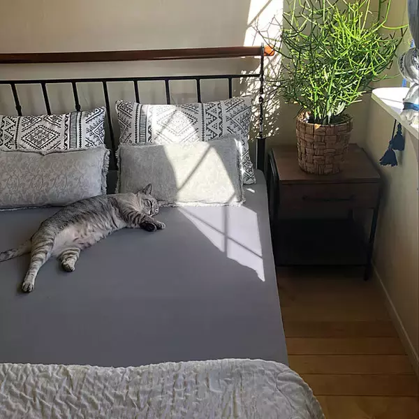 「寝心地にこだわりたい方に！おすすめのベッドシーツ利用実例」の画像