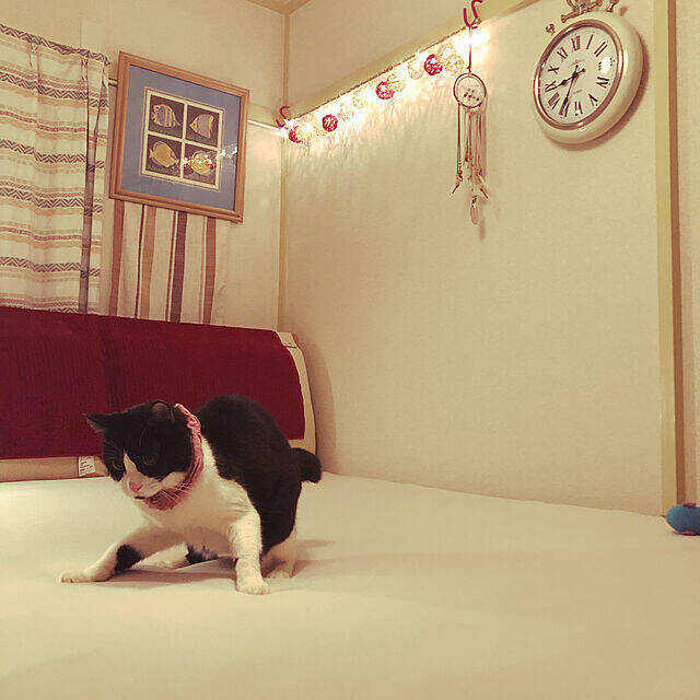 寝心地にこだわりたい方に！おすすめのベッドシーツ利用実例