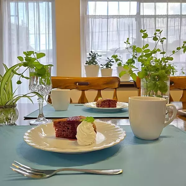 「プチプラでバリエーションが豊富♡テーブルを彩るダイソーの食器カタログ」の画像