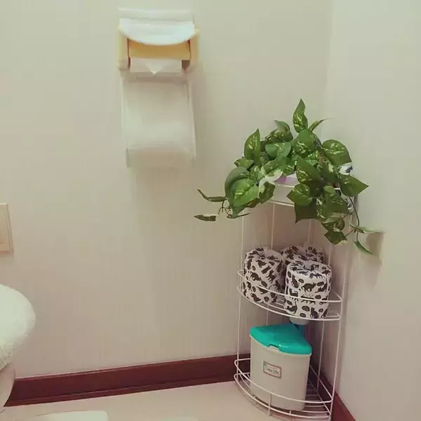 「水まわりや玄関、リビングでも！部屋の「角」を上手に活用できるニトリのコーナーラック」の画像