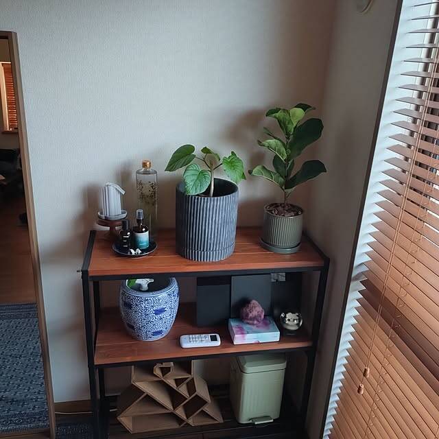 「自分にあうものを厳選して。お気に入りの植物や家具に囲まれた1DKの暮らし」 by primaloftさん